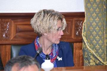 Imágenes del Pleno ordinario de diciembre del Ayuntamiento de Telde (Foto Francisco Javier Santana)